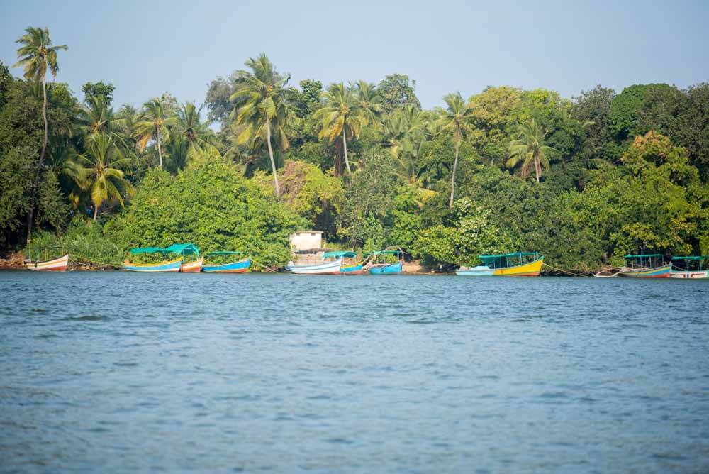 Image of Diveagar