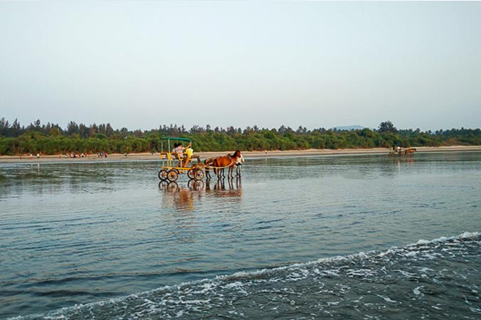 Image of Diveagar